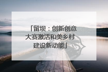 留坝：创新创意大赛激活和美乡村建设新动能