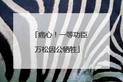 痛心！一等功臣万松因公牺牲