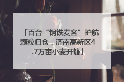百台“钢铁麦客”护航颗粒归仓，济南高新区4.7万亩小麦开镰