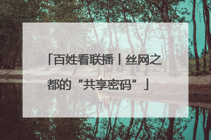 百姓看联播丨丝网之都的“共享密码”
