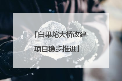 白果坨大桥改建项目稳步推进