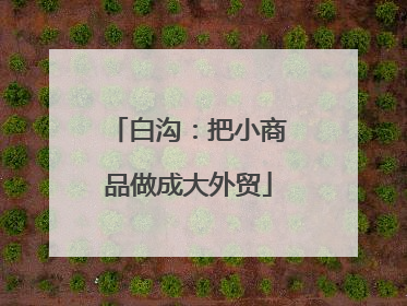 白沟：把小商品做成大外贸