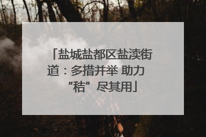 盐城盐都区盐渎街道：多措并举 助力“秸”尽其用