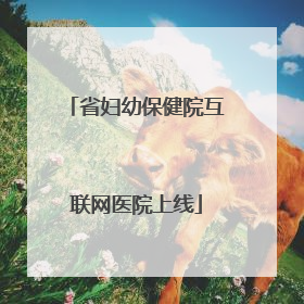 省妇幼保健院互联网医院上线