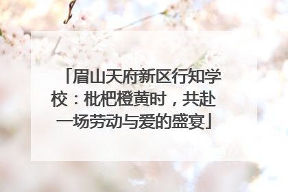 眉山天府新区行知学校：枇杷橙黄时，共赴一场劳动与爱的盛宴
