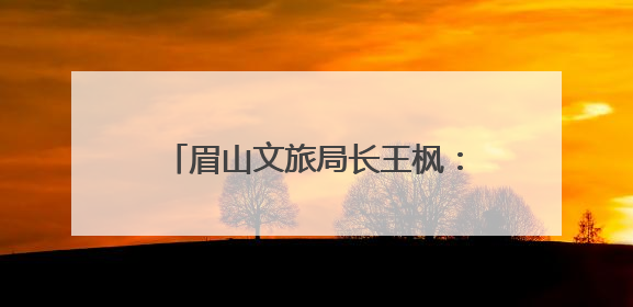 眉山文旅局长王枫：锚定“两城两地” 推进眉山文旅融合高质量发展｜文旅局长说