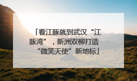看江豚就到武汉“江豚湾”，新洲双柳打造“微笑天使”新地标