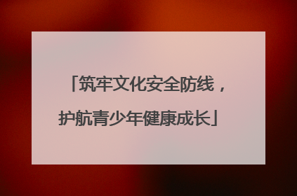 筑牢文化安全防线，护航青少年健康成长