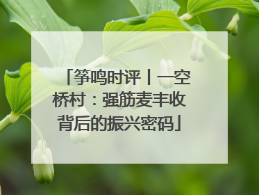 筝鸣时评丨一空桥村：强筋麦丰收背后的振兴密码