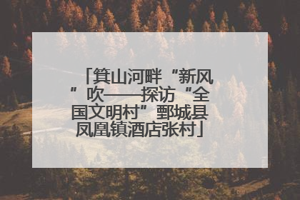 箕山河畔“新风”吹——探访“全国文明村”鄄城县凤凰镇酒店张村