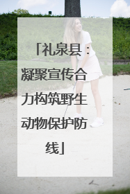 礼泉县：凝聚宣传合力构筑野生动物保护防线