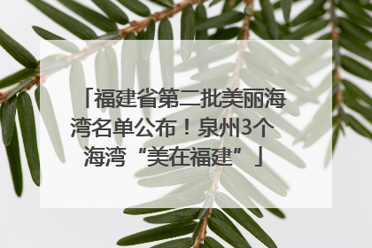 福建省第二批美丽海湾名单公布！泉州3个海湾“美在福建”