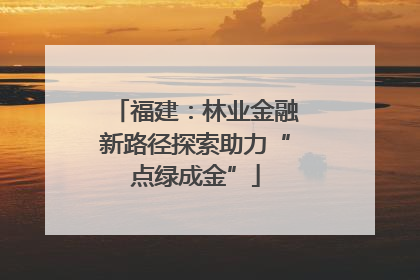 福建：林业金融新路径探索助力“点绿成金”