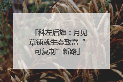 科左后旗：月见草铺就生态致富“可复制”新路