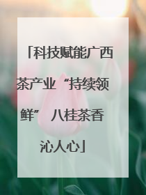 科技赋能广西茶产业“持续领鲜” 八桂茶香沁人心
