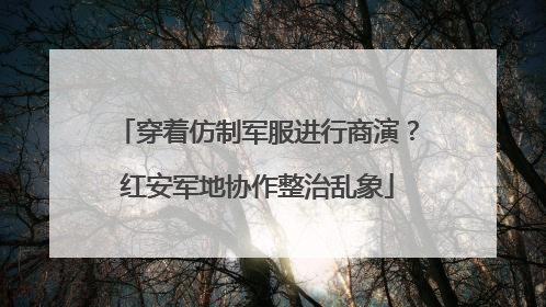 穿着仿制军服进行商演？红安军地协作整治乱象