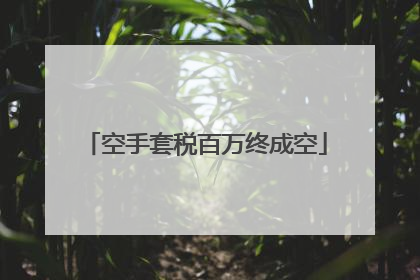 空手套税百万终成空