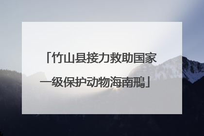 竹山县接力救助国家一级保护动物海南鳽