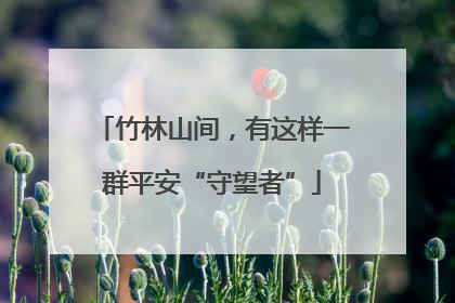 竹林山间，有这样一群平安“守望者”