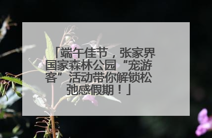 端午佳节，张家界国家森林公园“宠游客”活动带你解锁松弛感假期！
