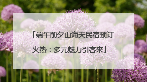 端午前夕山海天民宿预订火热：多元魅力引客来