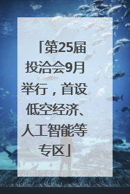 第25届投洽会9月举行，首设低空经济、人工智能等专区