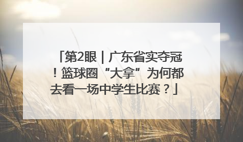 第2眼｜广东省实夺冠！篮球圈“大拿”为何都去看一场中学生比赛？