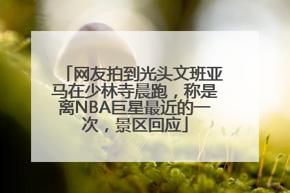网友拍到光头文班亚马在少林寺晨跑，称是离NBA巨星最近的一次，景区回应