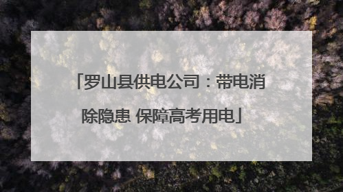 罗山县供电公司：带电消除隐患 保障高考用电