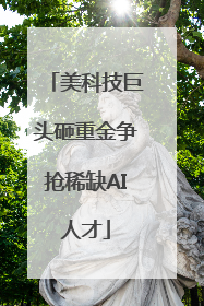 美科技巨头砸重金争抢稀缺AI人才
