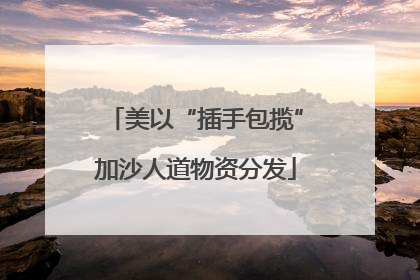 美以“插手包揽”加沙人道物资分发