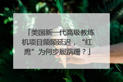 美国新一代高级教练机项目频频延迟，“红鹰”为何步履蹒跚？