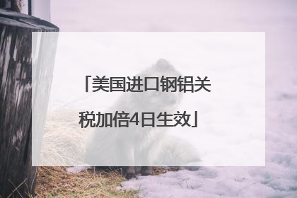 美国进口钢铝关税加倍4日生效