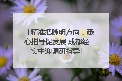 精准把脉明方向，悉心指导促发展 成都经实中迎调研指导