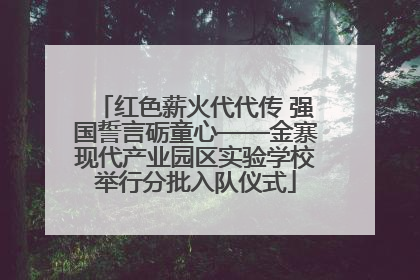 红色薪火代代传 强国誓言砺童心——金寨现代产业园区实验学校举行分批入队仪式