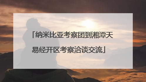 纳米比亚考察团到湘潭天易经开区考察洽谈交流