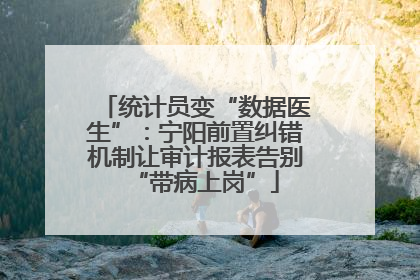 统计员变“数据医生”：宁阳前置纠错机制让审计报表告别“带病上岗”