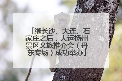 继长沙、大连、石家庄之后，大运扬州景区文旅推介会（丹东专场）成功举办