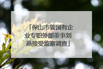 保山市管国有企业专职外部董事刘燕接受监察调查