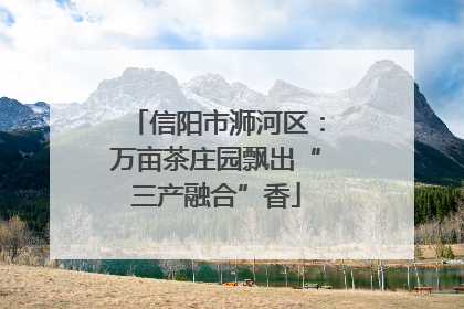 信阳市浉河区：万亩茶庄园飘出“三产融合”香