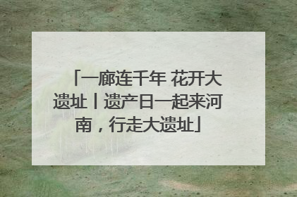 一廊连千年 花开大遗址丨遗产日一起来河南，行走大遗址