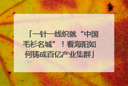 一针一线织就“中国毛衫名城”！看海阳如何铸成百亿产业集群