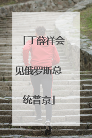 丁薛祥会见俄罗斯总统普京