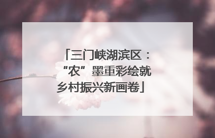 三门峡湖滨区：“农”墨重彩绘就乡村振兴新画卷