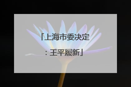 上海市委决定：王平履新