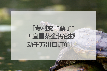 专利变“票子”！宜昌茶企凭它撬动千万出口订单