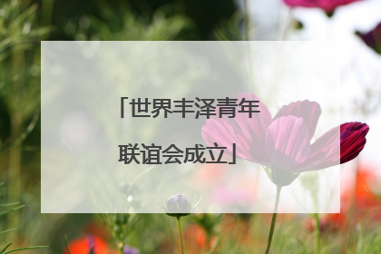 世界丰泽青年联谊会成立