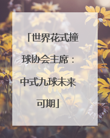 世界花式撞球协会主席：中式九球未来可期