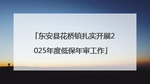 东安县花桥镇扎实开展2025年度低保年审工作