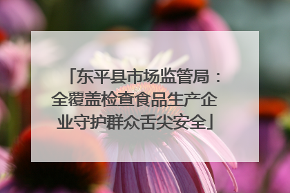 东平县市场监管局：全覆盖检查食品生产企业守护群众舌尖安全